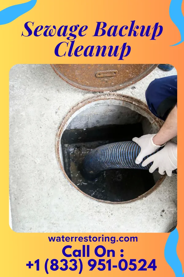 Sewage Backup Cleanup in Darfur, MN