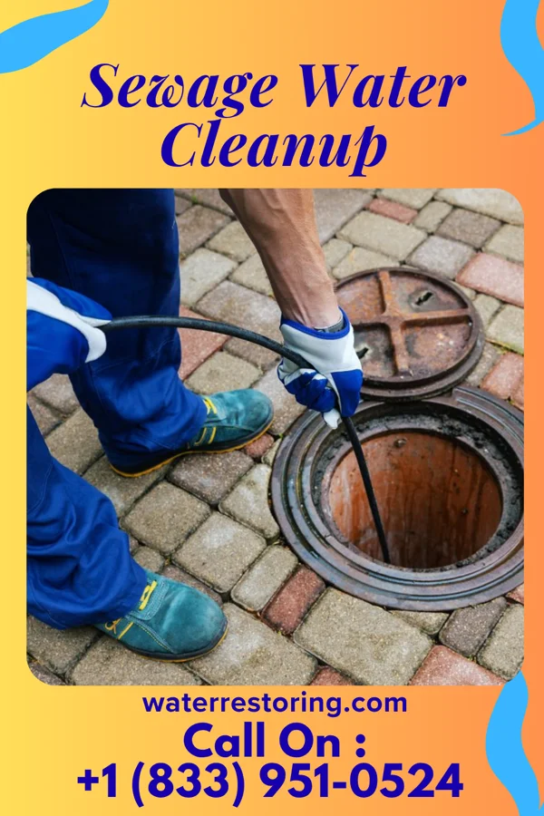 Sewage Water Cleanup in Darfur, MN